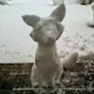 Meet your Posher, Madeline